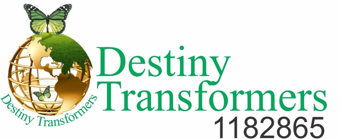 Destiny Transformers Logo